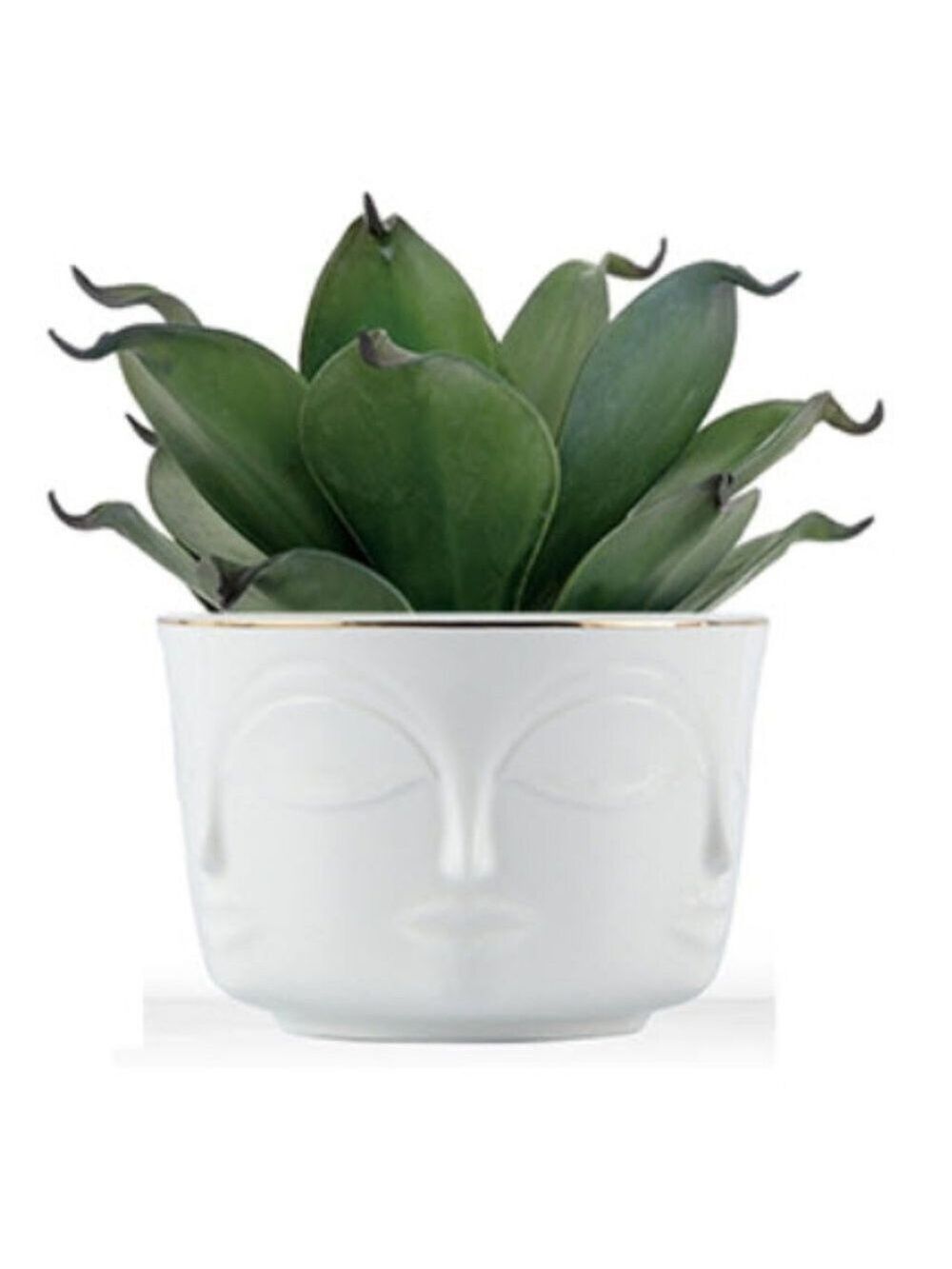 Set of 4 Stunning Face Pot Indoor Planter - Picture 3 of 4